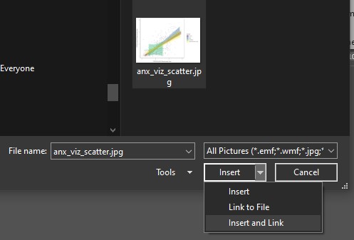 Screenshot of the picture insertion popup for Microsoft Word showing the image to insert and the Insert dropdown